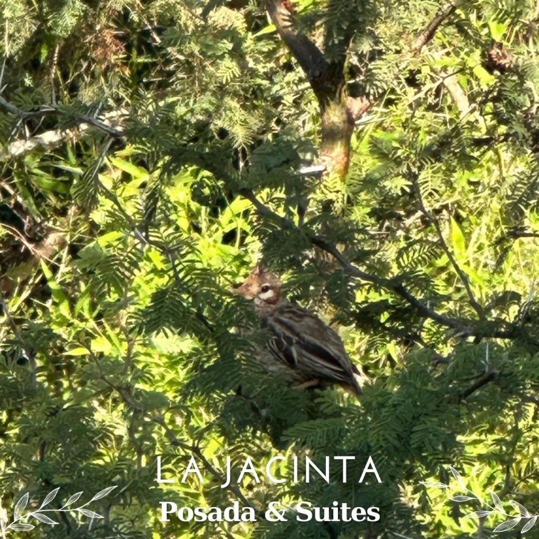 La Jacinta Posada Suites Santa Rosa de Calamuchita Esterno foto