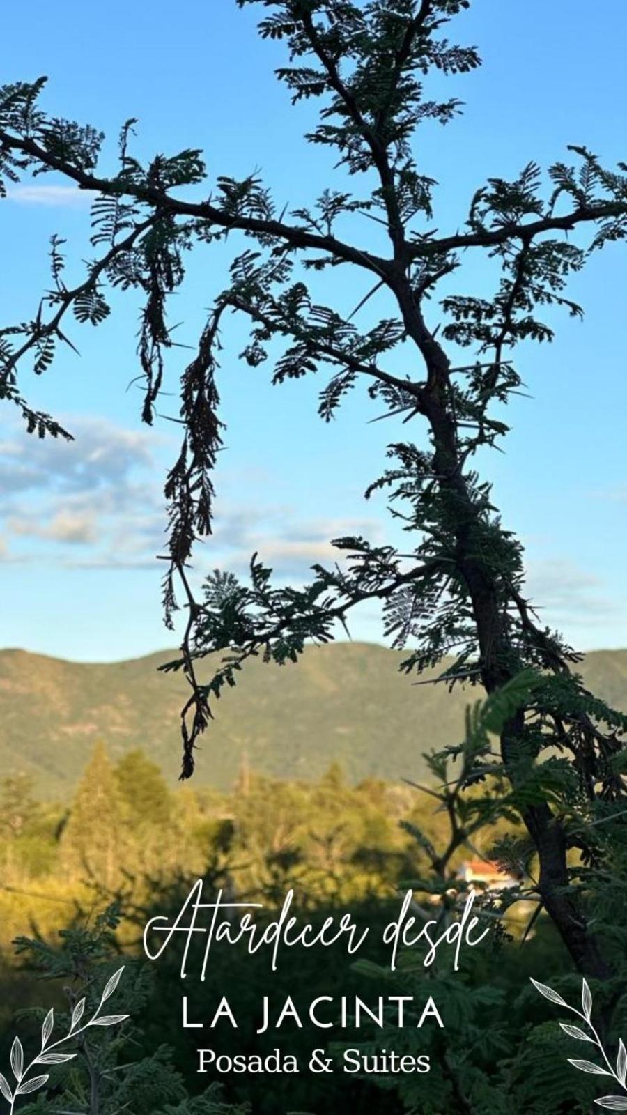 La Jacinta Posada Suites Santa Rosa de Calamuchita Esterno foto